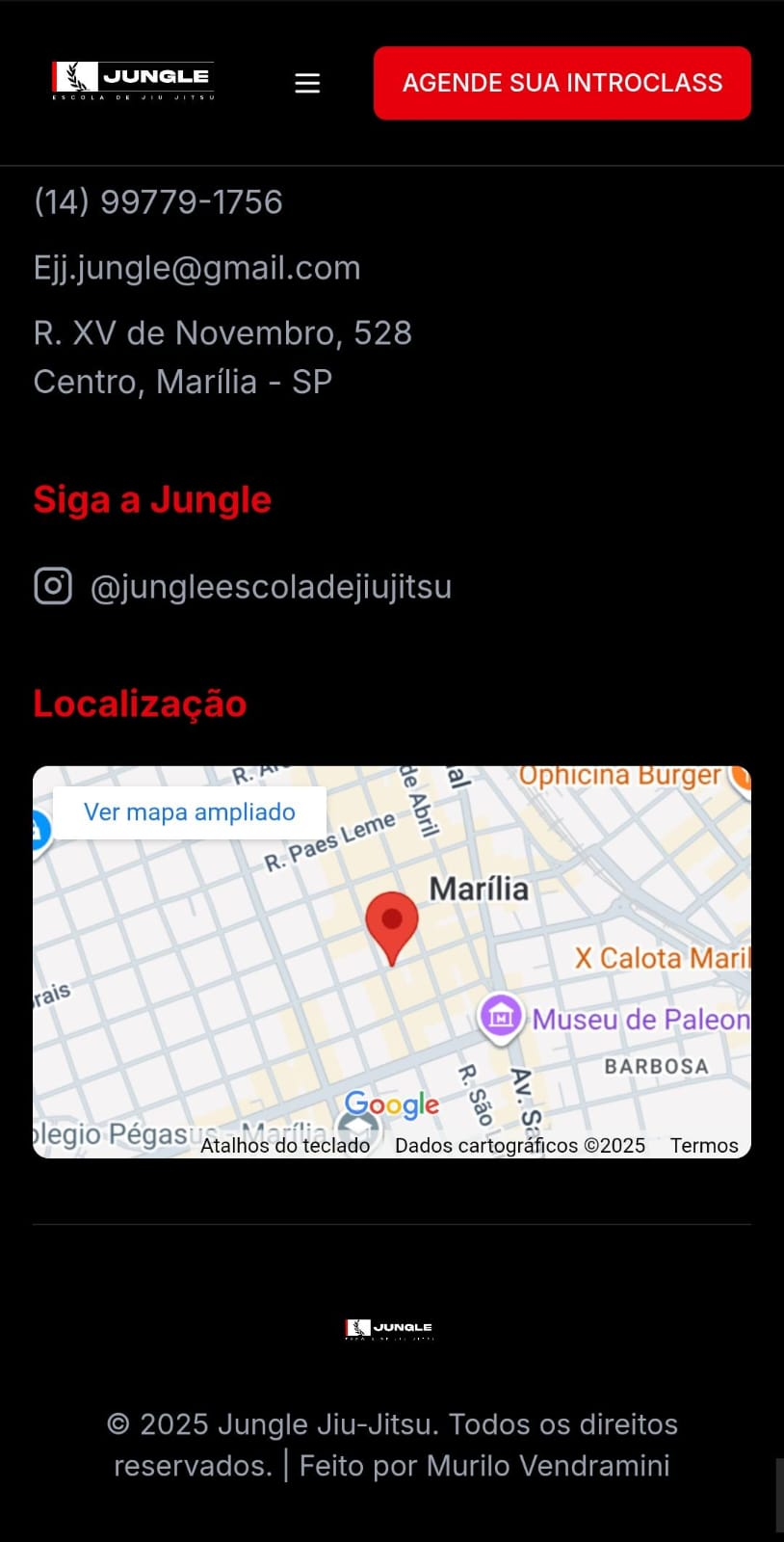 Site Jungle - Footer e Contato